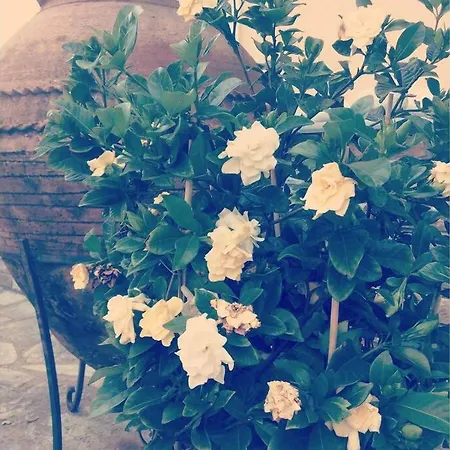 Archontiko Prigkou Zagora